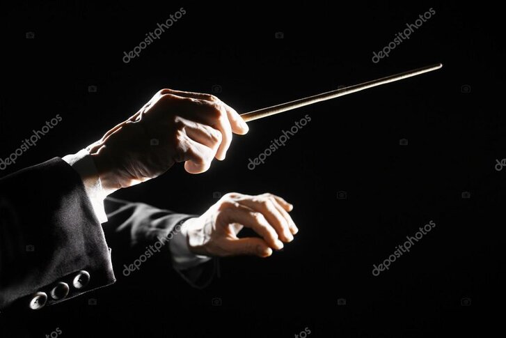 Orchestra e direttore durante l’accompagnamento dei concorrenti