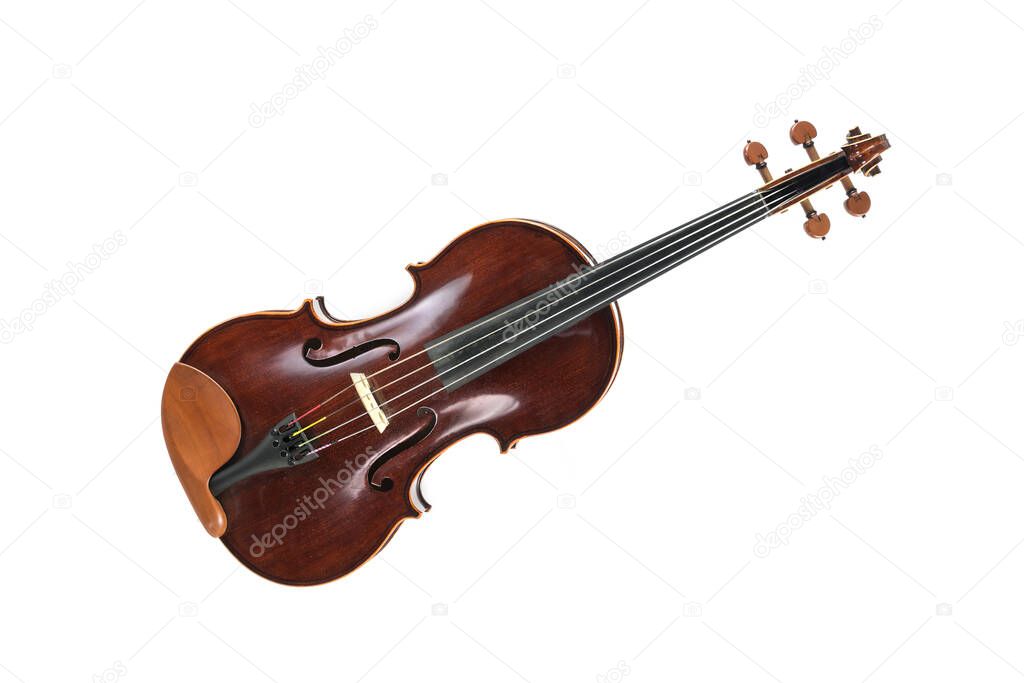 Quartetto d’archi durante un concerto di musica da camera